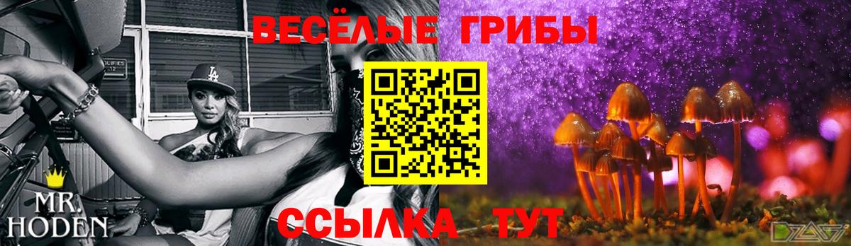 Псилоцибиновые грибы Psilocybe  Вход с VPN  Галлюциногенные грибы Psilocybe  Набережные Челны 